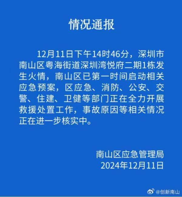 皇冠信用网在线注册_深圳湾一高端住宅发生爆炸皇冠信用网在线注册！目击者：有人和宠物狗从楼上坠落