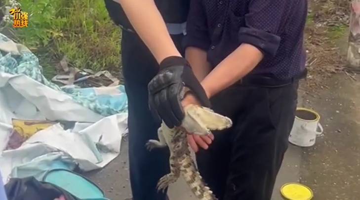 皇冠信用網登2代理
_吓一大跳皇冠信用網登2代理
！浙江一男子钓鱼竟然钓到了…异常凶猛！